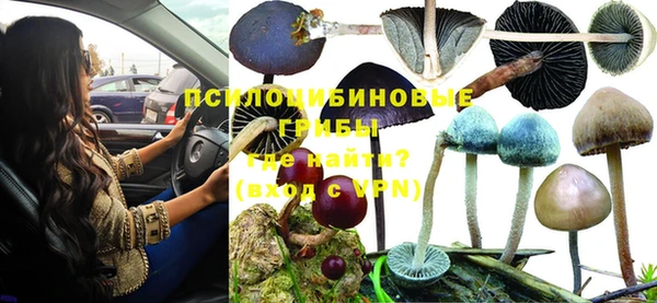 прущий лед Богородицк