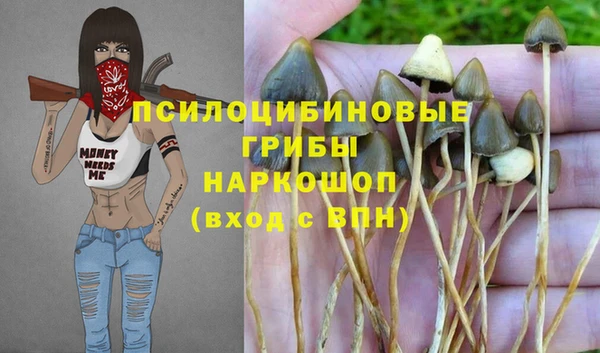стафф Богданович