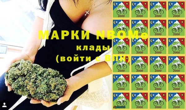 сатива Богородск