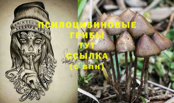 эйфоретик Зеленодольск